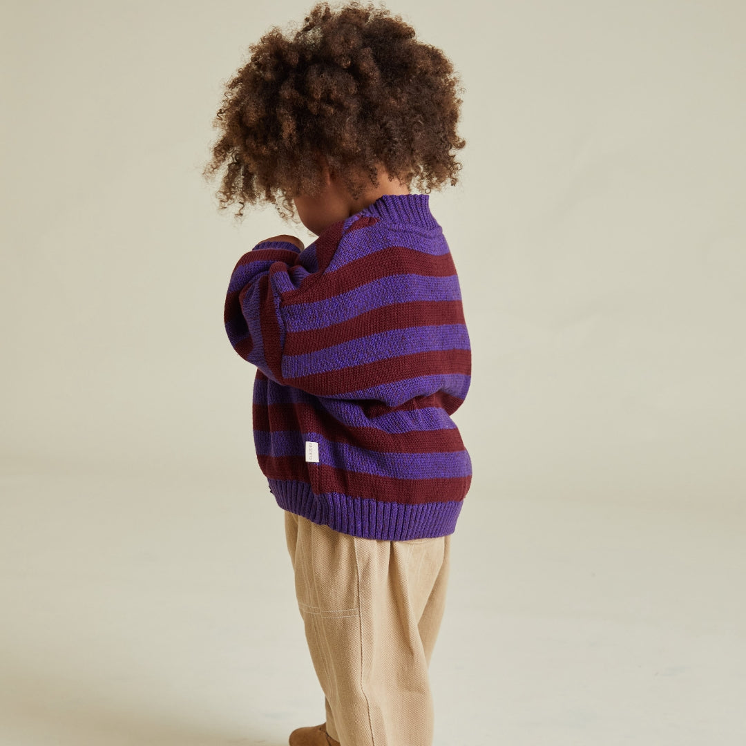 Eben Purple Stripe Cardigan