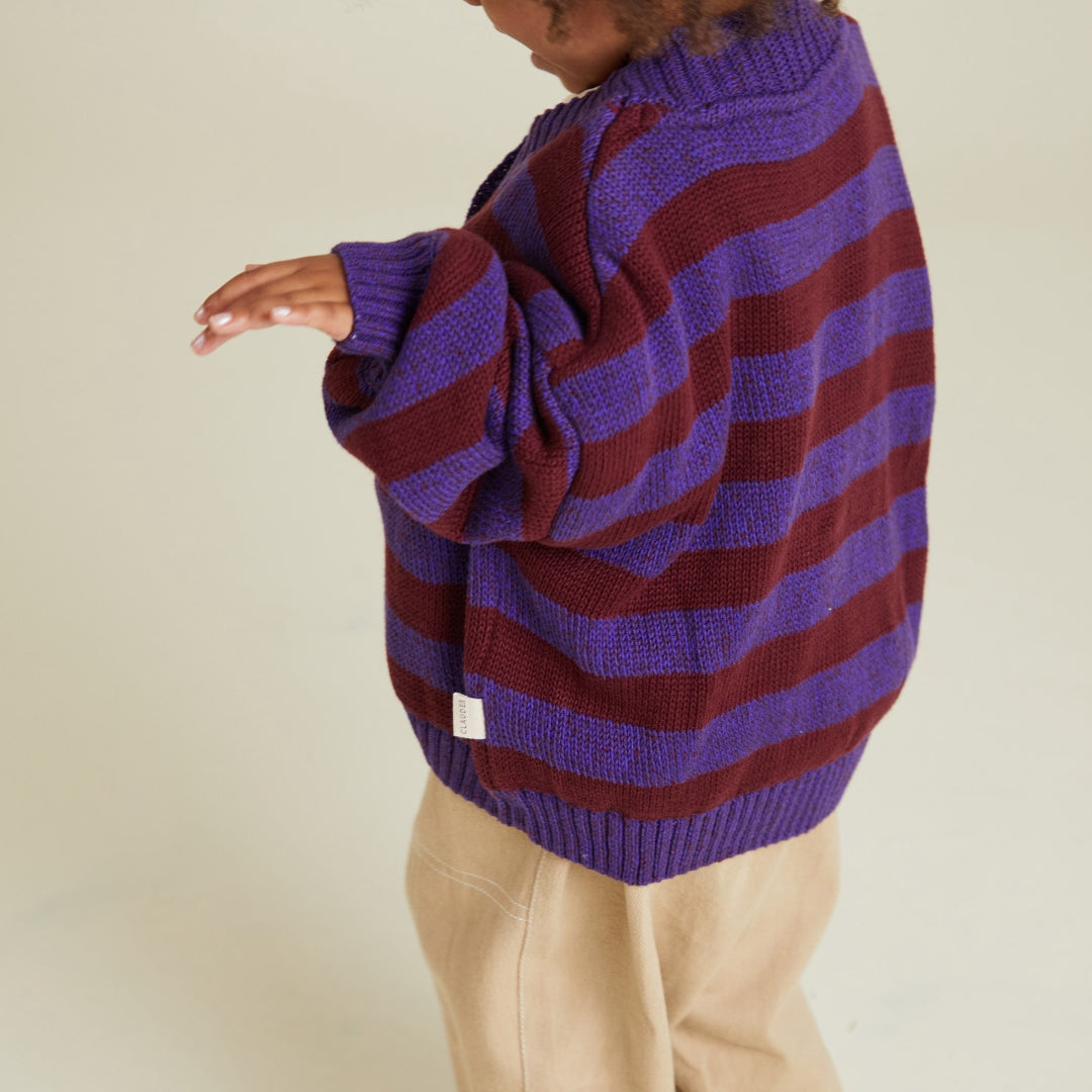 Eben Purple Stripe Cardigan